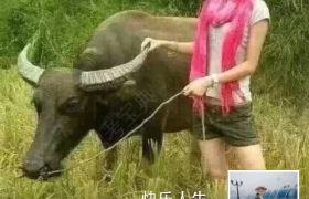 苏州垂虹驾校
