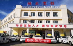 伊犁哈萨克自治州鸿大驾校
