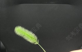 重庆重长司驾校
