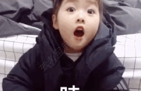 南充金箭驾校