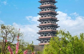 营口蟠龙驾校