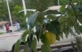 赣州于都驾校于都分校