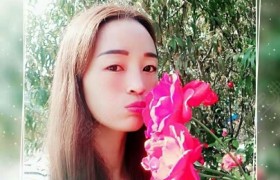 周口天顺驾校