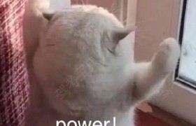 重庆博邦驾校
