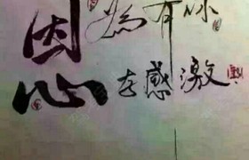 营口阳光驾校