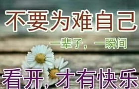 许昌创新驾校