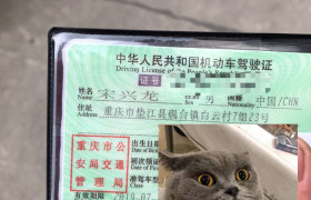 重庆天宫驾校