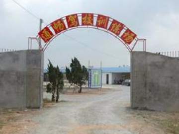 通畅驾校
