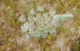 襄阳傲然驾校