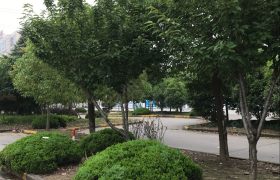 上海鸿源驾校
