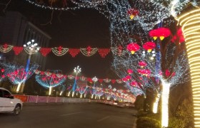 聊城聊大驾校