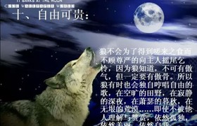 齐齐哈尔晟利驾校