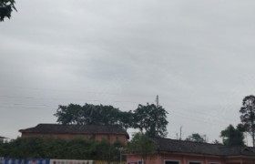 雅安顺安驾校