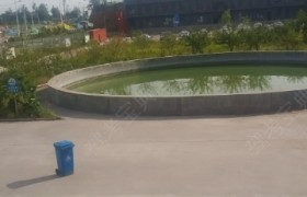 邢台强顺驾校
