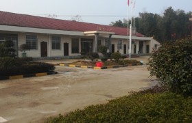 常德茶新驾校
