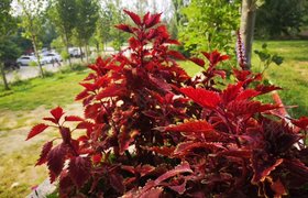 临沂阳光驾校