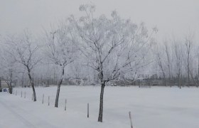 德州华元驾校