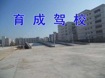 育成驾校
