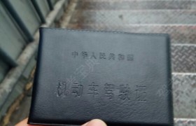 宁波武岭驾校