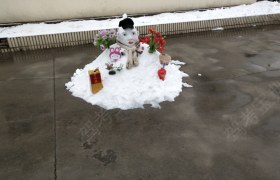 淄博宏安驾校