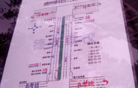 德州金华威驾校
