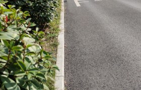 岳阳柳林驾校