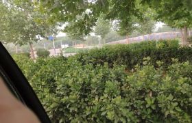 石家庄正龙驾校