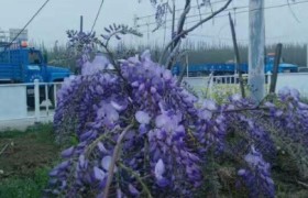 阜阳公交驾校