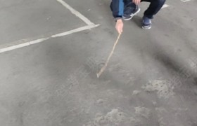 徐州钟吾驾校