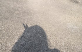 宜春龙兴驾校