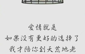 湛江翔龙驾校