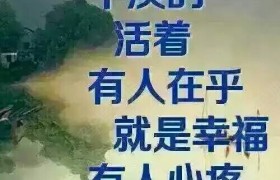 全天驾校