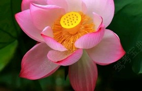 泉州凯旋驾校