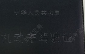 驻马店东湖驾校