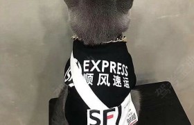 白银恒安驾校