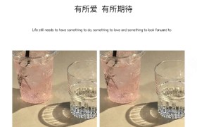 襄阳炬阳驾校