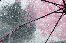邢台畅安驾校