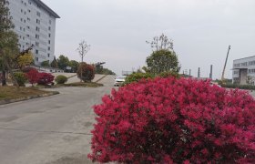 乐山君安驾校
