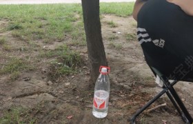 青岛全越驾校