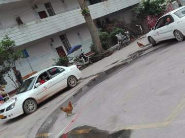 金鹰驾校