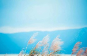 铁岭宏运驾校