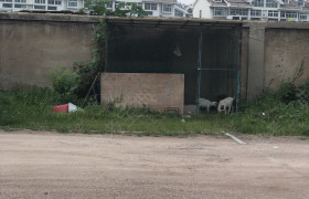 潍坊诸城平安驾校