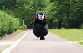 商洛丹凤驾校