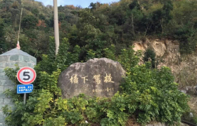 温州塘下驾校