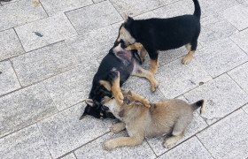 南宁忠振驾校
