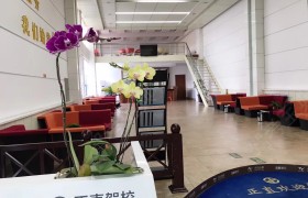 临沂正直驾校河东分校