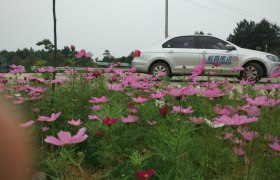 衡阳远航驾校