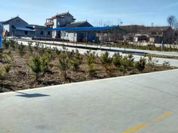 信通驾校