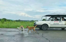 溧白驾校