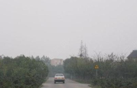 揭阳合顺驾校